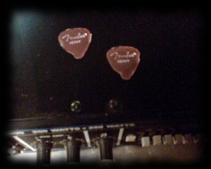 Few picks after an hour of hard work